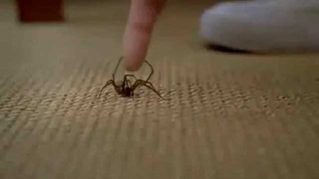 Вот почему их боятся девушки! смотреть онлайн