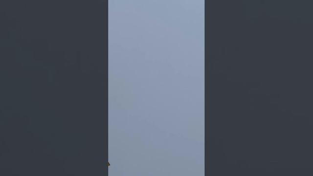 Беспилотник самолетного типа смотреть онлайн