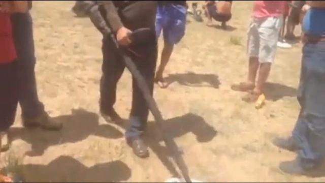 A Metal Detector In China.   GPZ7000、GPX5000、fors Gold、XP