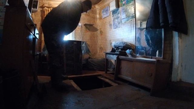 Рыба и Друзья