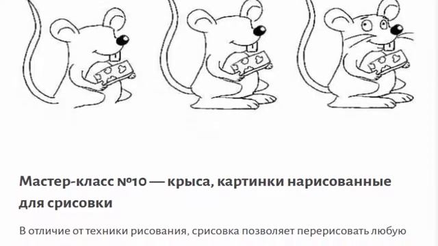 Рисуем крысу поэтапно Рисуем мышку поэтапно смотреть онлайн