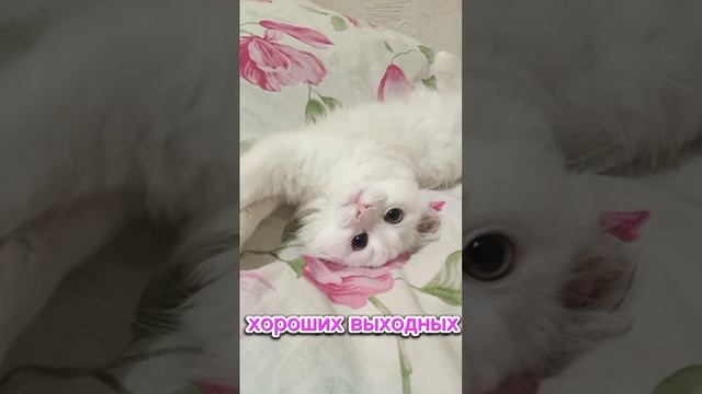 Хороших выходных)