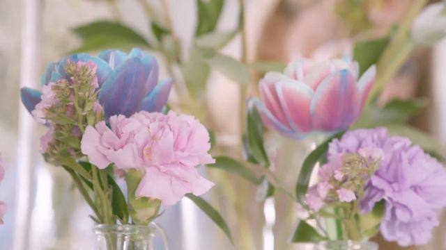 Flowerfields forever! Ivana Helsinki special drop for summer 2022 смотреть онлайн