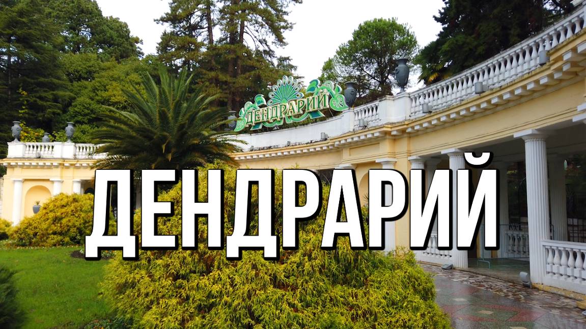 Сочи, Дендрарий - зелёное сердце курорта смотреть онлайн