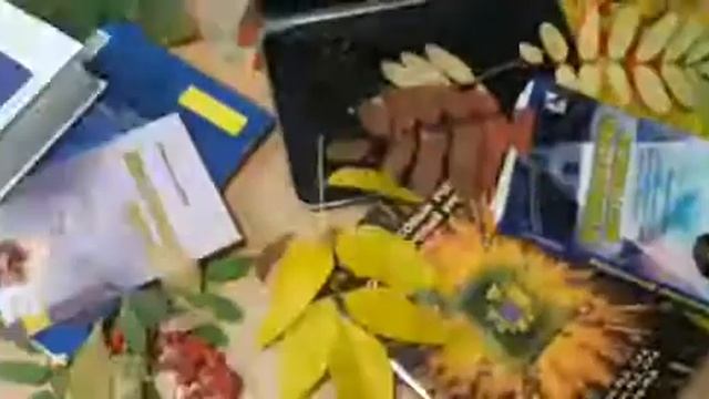Бухучёт для начинающих и главных бухгалтеров смотреть онлайн