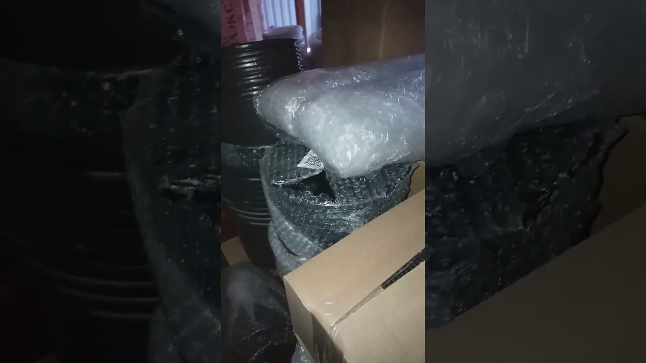 Горшки для гортензий. Всем привет! #саженцыгортензий #купитьсаженцыгортензий #крупнолистныегортензии смотреть онлайн