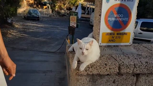 Испания, вулкан Тейде,Тенерифе, Национальный парк Тенерифе Spain, Tenerife смотреть онлайн