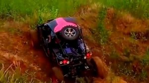 Багги Ренли