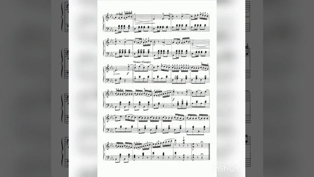 Tchaikovsky Neapolitan dance? Чайковский Неаполитанский танец#piano #music #классика #classicmusic смотреть онлайн