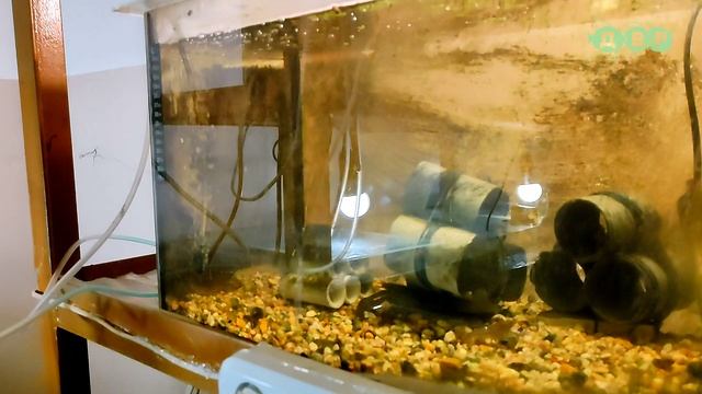 Лабаратория Гидробионтов в университете Каразина! смотреть онлайн