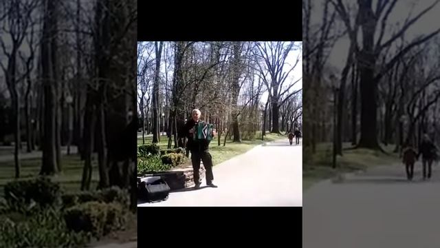 ИГРАЙ ГАРМОНЬ ДУШЕВНАЯ. Ой рябина кудрявая. смотреть онлайн