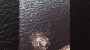 Прыгнул с моста в Костроме