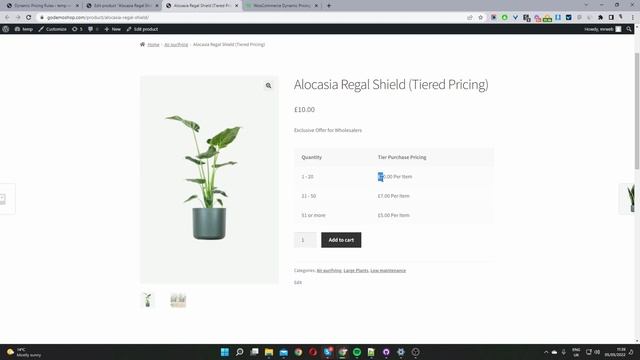 How to Add WooCommerce Tiered Pricing Table to your Store смотреть онлайн