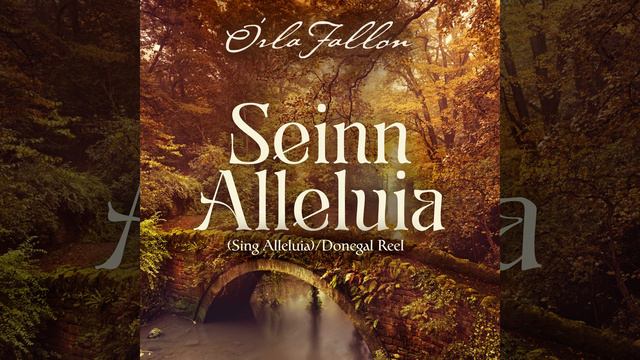 Seinn Alleluia / Donegal Reel смотреть онлайн