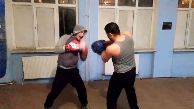 Работа на лапах/Work on the paws/Boxing/krivi смотреть онлайн