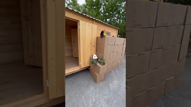 Строительство бань В Новосибирске.32 подарка.Баня с скидкой 40 000₽.Розыгрыш беседки 3х4 смотреть онлайн
