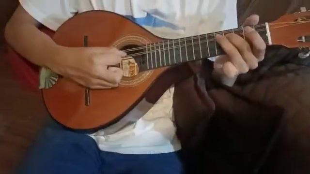 Pequeña María - cantos del camino neocatecumenal en Mandolina 2023 смотреть онлайн