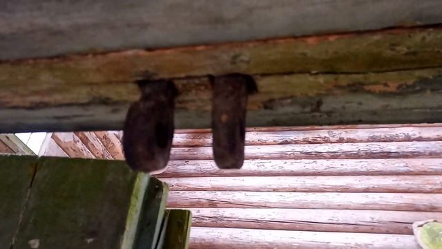 Обзор на старинную церковную дверь смотреть онлайн