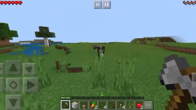 Ищу мистику