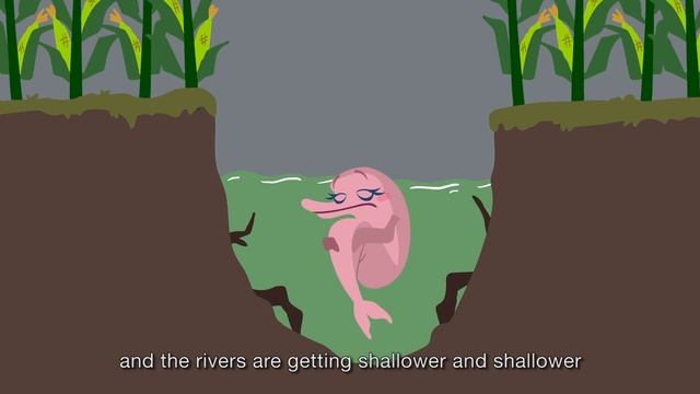 Pink Dolphin Rescue - Endangered Species Revenge смотреть онлайн