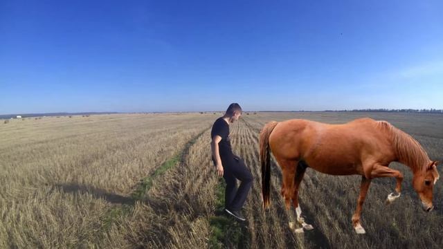 Вольга и Микула Селянович