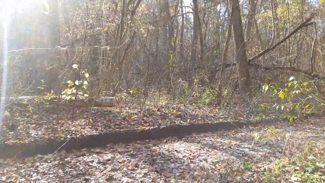 31.10.23 Алабай Булат и финальный день октября ч.1