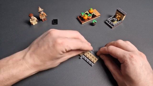 Сборка LEGO Harry Potter Урок травологии | Herbology Class 76384 build смотреть онлайн