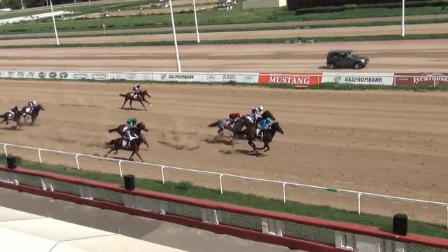 Московский ипподром. Скачки. 31.07.16. Скачка 4(51). ПРИЗ В ЧЕСТЬ 50+-ЛЕТИЯ М.Г.ПЕТРИЯ смотреть онлайн