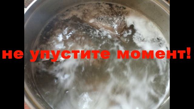 Охота покушать с Бородой. Мой любимый суп из косули. Просто и очень вкусно. Не шулюм! смотреть онлайн