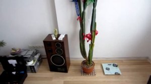 Тепловизор. Обследование квартиры.