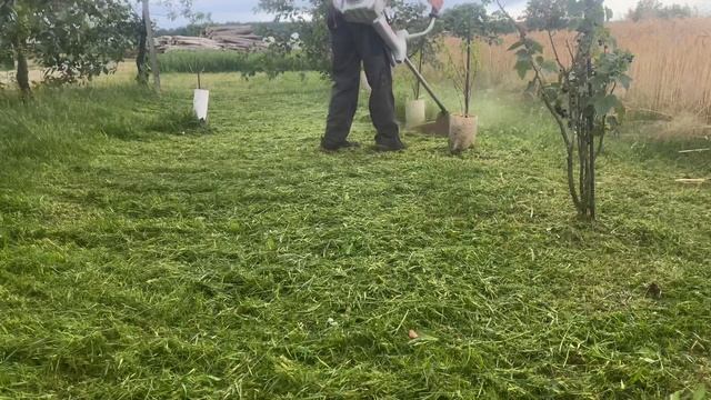 Stihl FS 411C-em смотреть онлайн