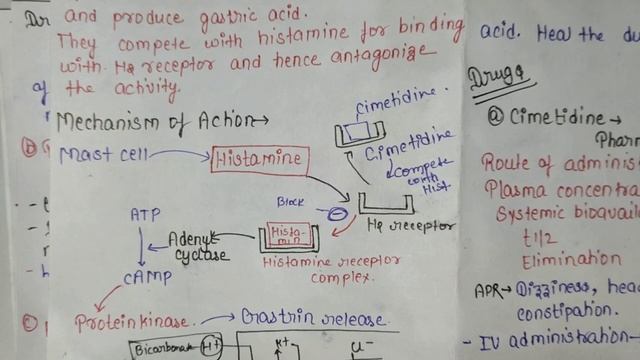Peptic Ulcer | Drugs Acting on GIT | H2 antagonist PPIs Anticholinergic Agents | P'cology-3 U-1 L-9 смотреть онлайн