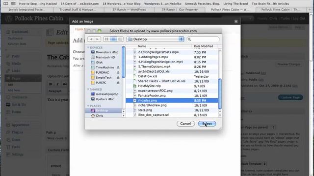 Wordpress 6 - Images смотреть онлайн