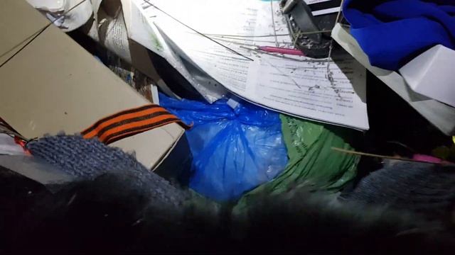 нашли АЙФОНЫ МОНИТОР ФОТОРАМКУ в мусоре смотреть онлайн