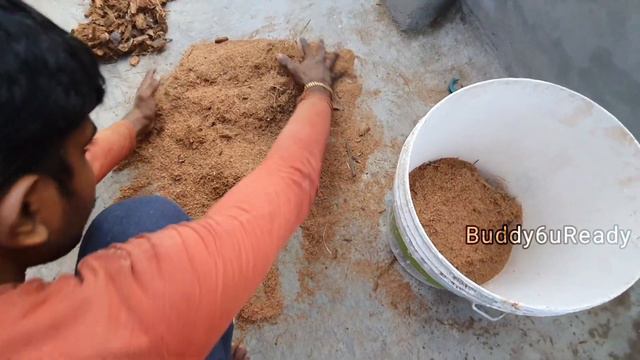 How to Make cocopeat at Home | Cocopeat | Tips for Making Cocopeat | In Tamil #Buddy6uReady смотреть онлайн