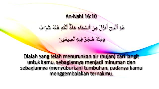 Al Quran Surat An-Nahl ayat 1-16 Abdullah basfar смотреть онлайн