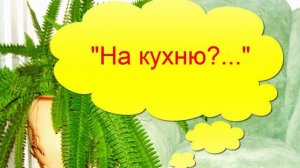 Цветок папоротника. Нефролепис. Комнатные растения. ?
