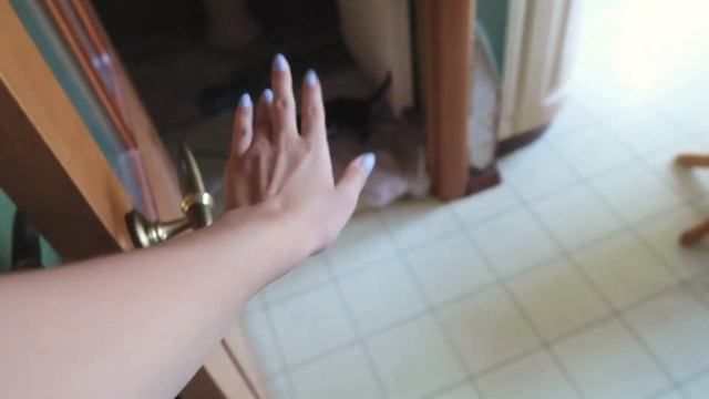 СПАСЕНИЕ КОТЯТ смотреть онлайн