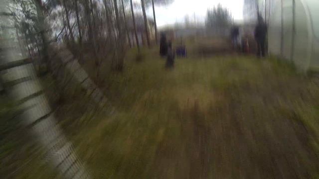 Пашу огород под посадку картошки и перетаскиваю хлысты на мотоблоке Салют. смотреть онлайн