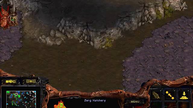 Starcraft 1.16.1 Campaña Random 1 Ton #001 смотреть онлайн