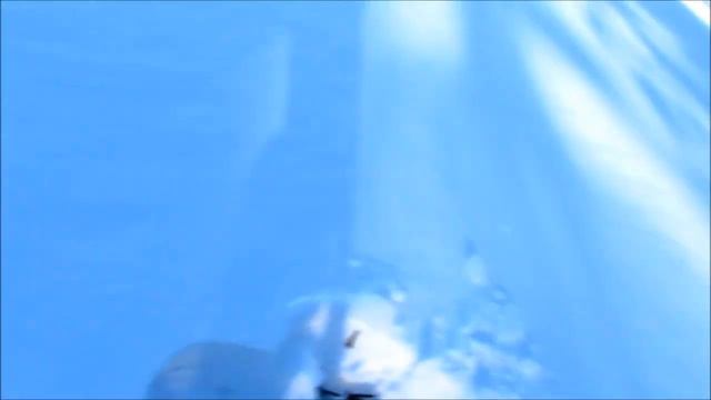 Обильный " урожай" ручейников смотреть онлайн