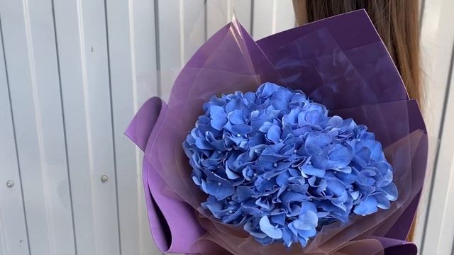 Синяя гортензия ? смотреть онлайн