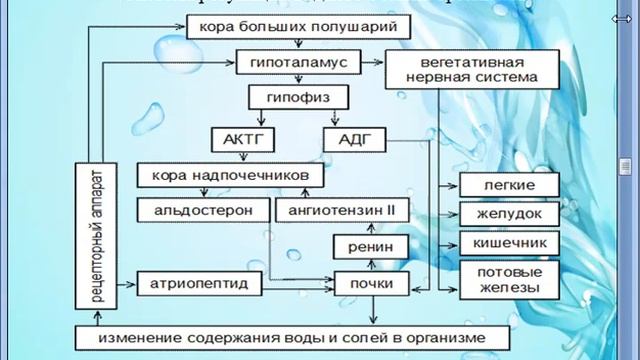 Преподаватель - Ерболатова А. смотреть онлайн