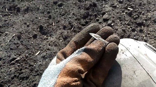 МЕТАЛЛОИСКАТЕЛь Fisher F75 + Detech Ultimate   ПРОСТО ЗВЕРЬ!!!