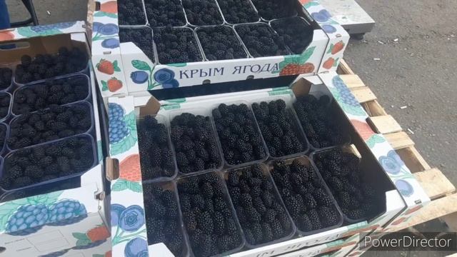 НА ФУД СИТИ АНШЛАГ 11.07.2023 МОСКВА