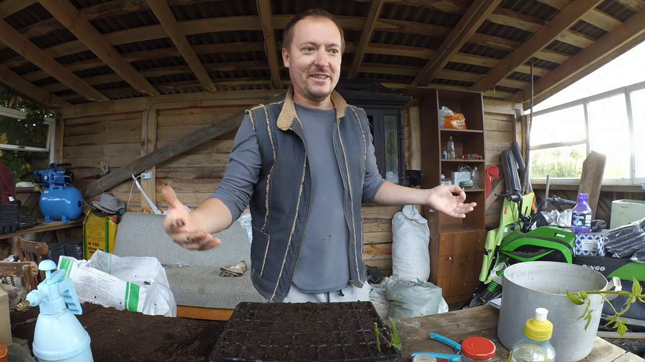 Жыве Беларусь! смотреть онлайн