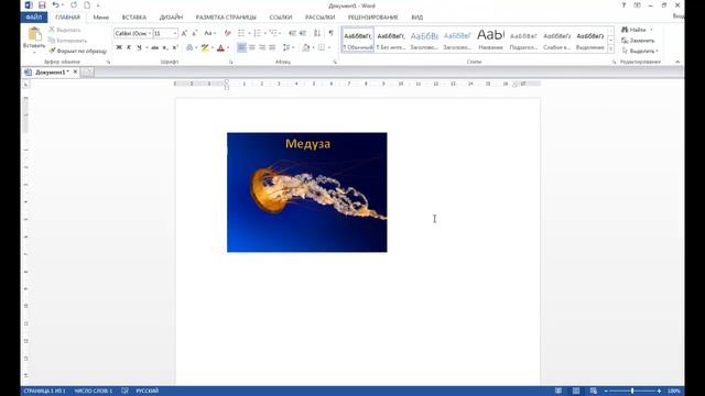 Как сделать надпись на картинке в Ворде? смотреть онлайн