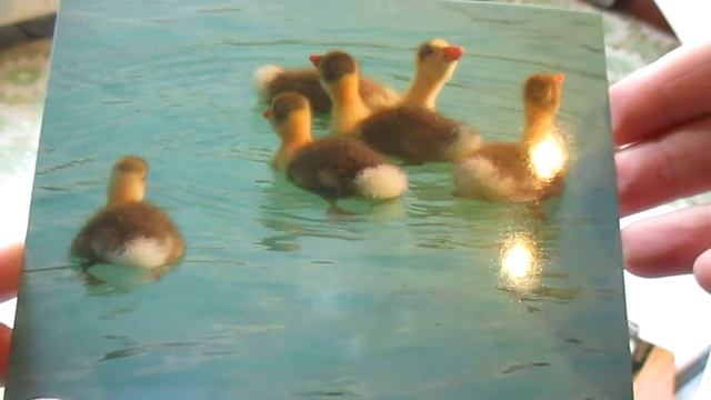 ЗАКАЗ В POSTCARDS//И ПРИЯТНАЯ НЕОЖИДАННОСТЬ!!! смотреть онлайн