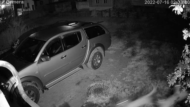 Камышинские собаки Динго, охота на кошек. смотреть онлайн