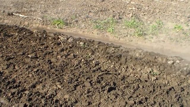 Самодельный трактор Двухкорпусный плуг Весенняя пахота смотреть онлайн